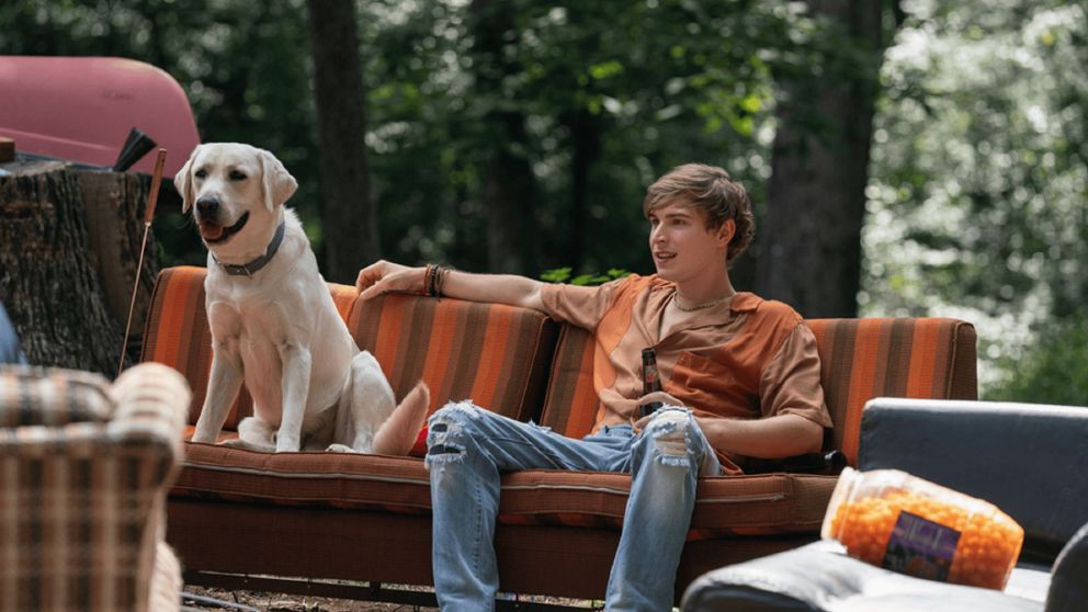 Netflix agreg� a su cat�logo una cautivante pel�cula dram�tica que trata sobre un perro y su familia.