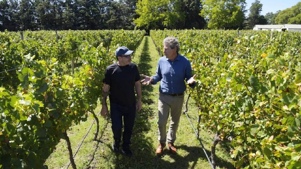 La ley tiene como objetivo promover la comercialización del vino producido en la provincia.