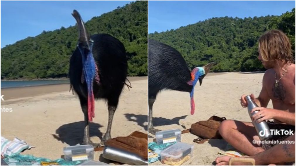 Estuvieron al borde de la muerte en la playa y nunca se dieron cuenta: lo contó en TikTok y se volvió viral