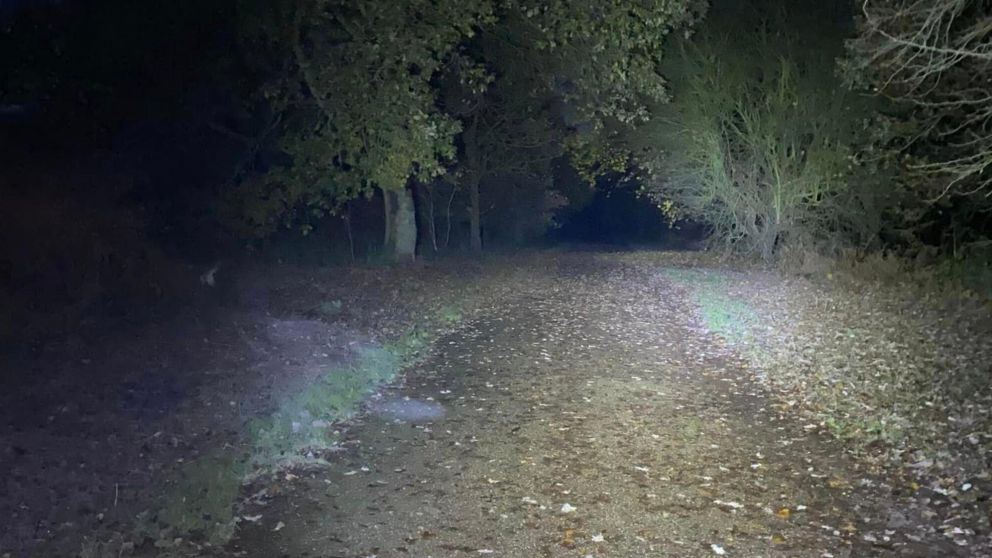 El Clumber Park, donde creen haber visto el fantasma de la "Dama de Gris" (Captura/Video).