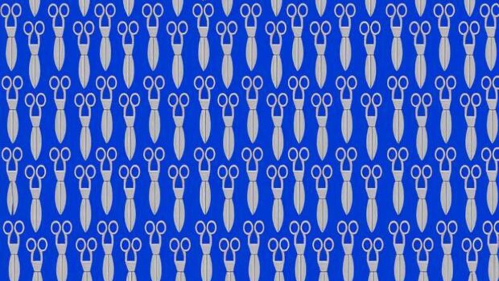 En el siguiente reto viral deberá encontrar a las cinco tijeras distintas al resto en la ilustración.