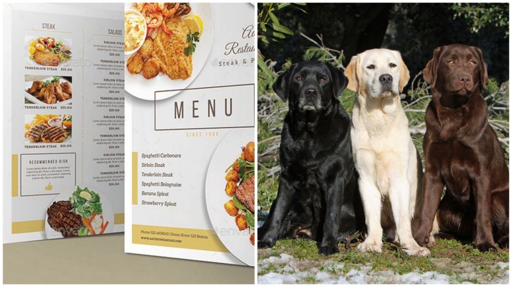 Cometieron un error con el nombre de un plata y el restaurante se convirtió en el blanco de todas las burlas.