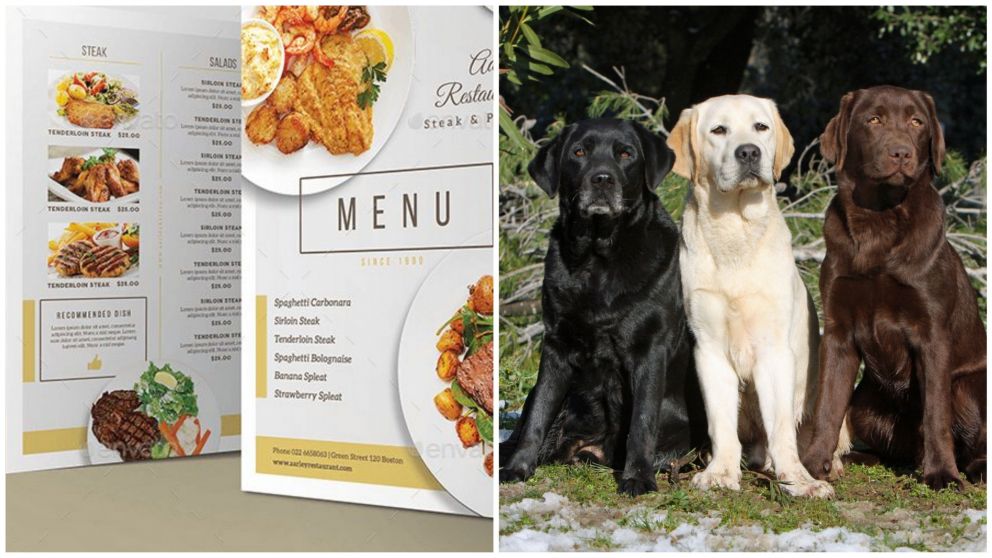 Cometieron un error con el nombre de un plata y el restaurante se convirti� en el blanco de todas las burlas.