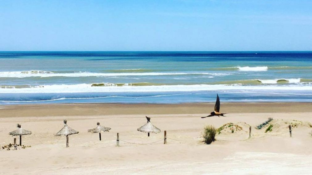Punta Desnudez: un paraíso natural que está detenido en el tiempo.