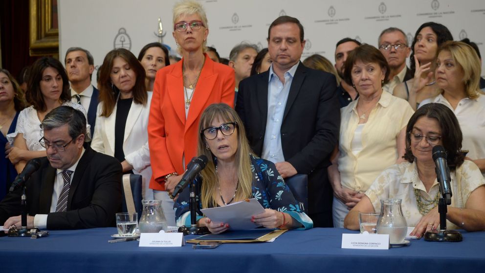 Los bloques legislativos del Frente de Todos, en pleno, respaldaron a la vicepresidenta Cristina Kirchner (Fernando Pérez Ré).