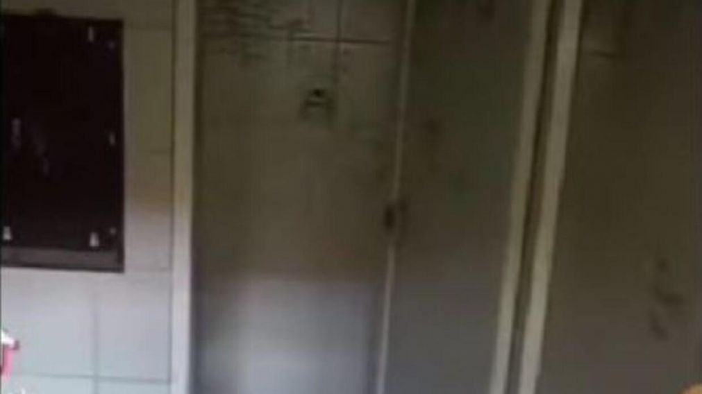 Conmoción en el baño del boliche barilochense (TikTok).
