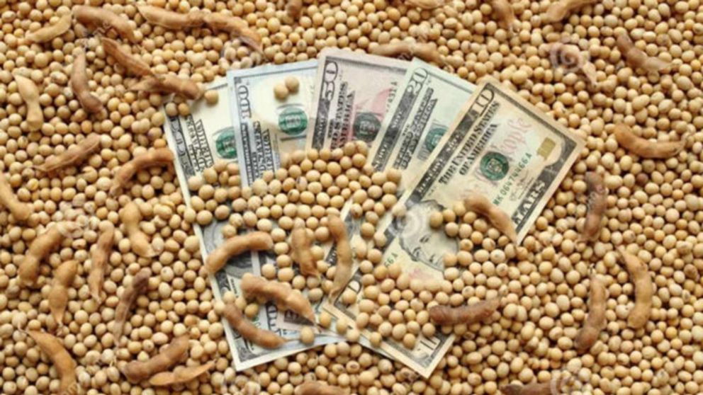 El dólar soja establece un tipo de cambio diferencial de $230 por dólar para el complejo sojero hasta el 31 de diciembre.