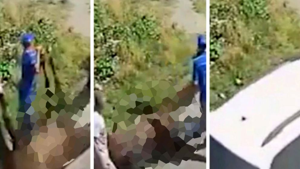 Arrastraron y abandonaron a un caballo muerto en la calle (captura de video).