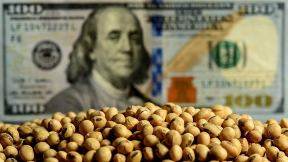 El Banco Central cerró la rueda con compras por US$ 192 millones: ¿qué pasó con el dólar soja?.