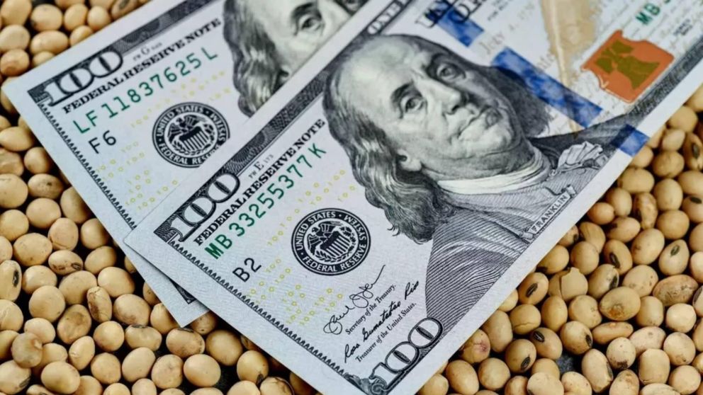 Dólar soja: el lunes se reabrirá el programa con una cotización actualizada por inflación.