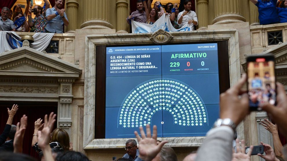 La iniciativa recibió votos positivos y giró al Senado nacional.