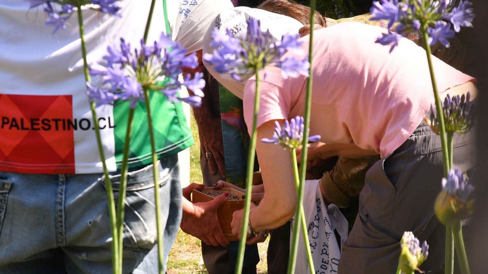 Las cenizas de Hebe de Bonafini fueron esparcidas en Plaza de Mayo (Telam).