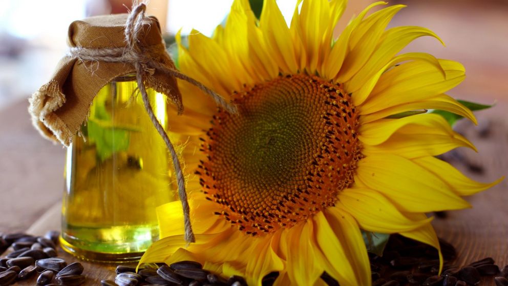 El aceite de girasol prohibido no cumplió con los requisitos (Imagen ilustrativa).
