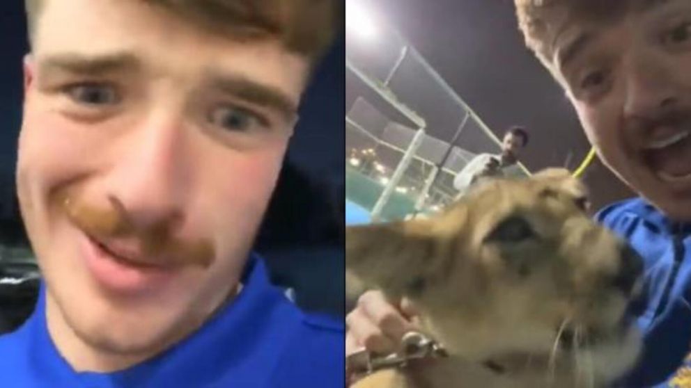 Unos jóvenes fueron a comprar cerveza y acabaron la noche jugando con leones en la casa de un jeque (Imagen captura vídeo).
