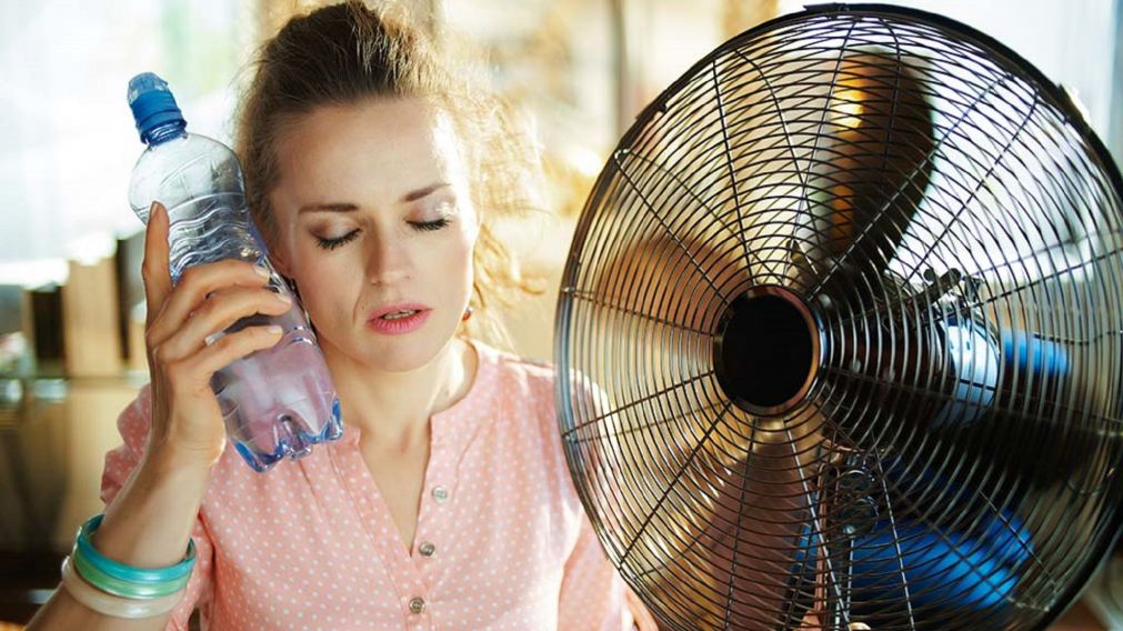 Estos astros le hacen frente a la ola de calor, pero sufren el frío.