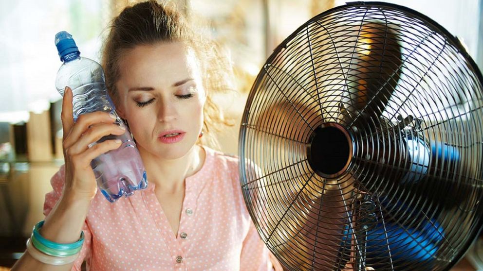 Estos astros le hacen frente a la ola de calor, pero sufren el fr�o.��