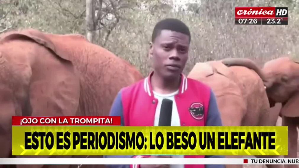 Crónica HD