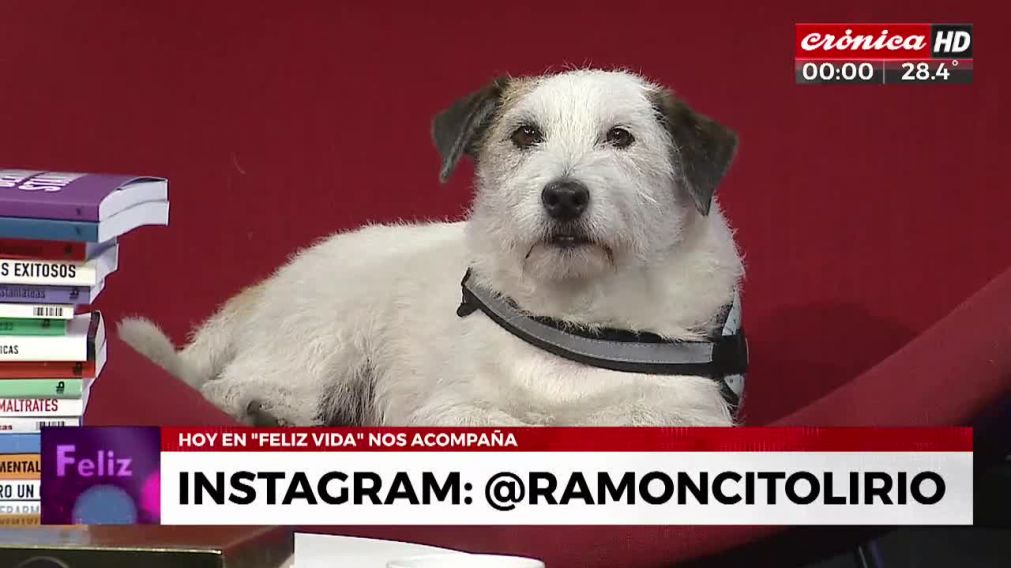 Crónica HD