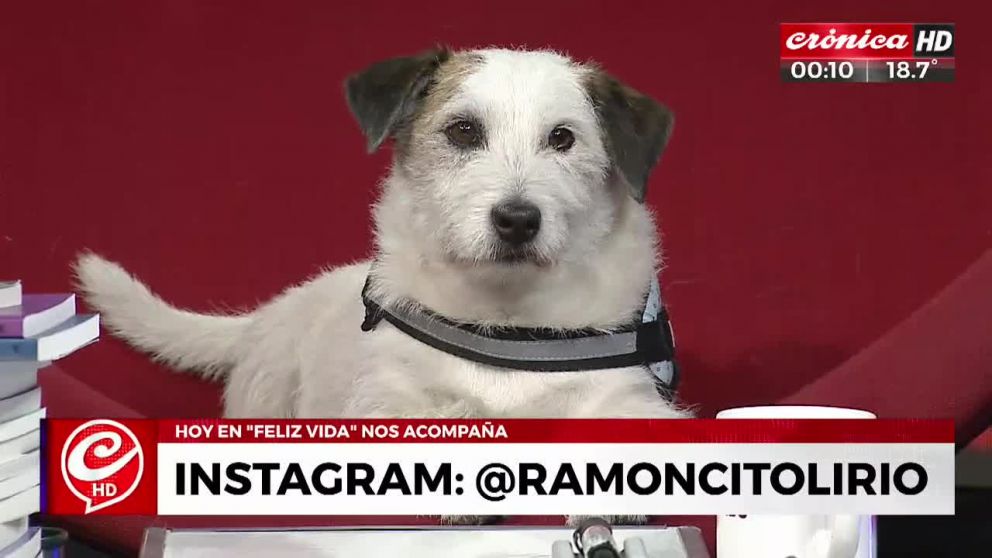 Crónica HD