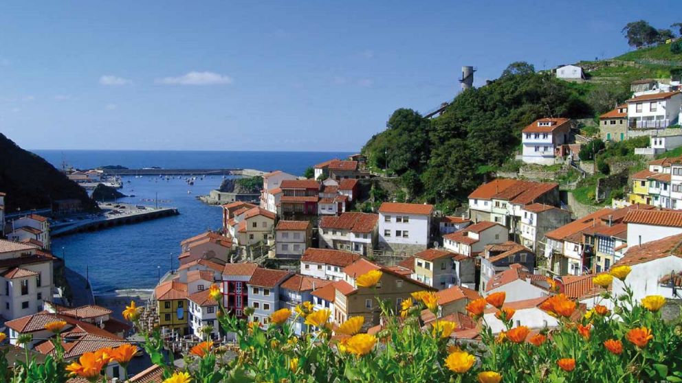 Un pueblo de Asturias es uno de los apuntados a repoblar por Espa�a.