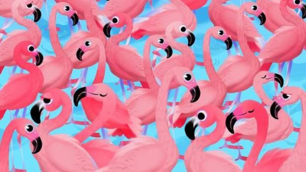 En este reto viral deberá encontrar en 10 segundos a la flor que está camuflada en la ilustración.
