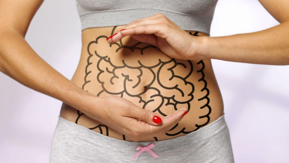 El Sistema Nervioso Entérico (SNE) se encarga de controlar directamente el aparato digestivo (Imagen ilustrativa).