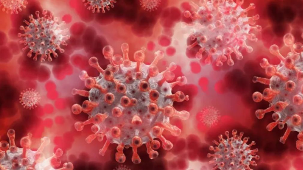 La variante Ómicron podría pasar a ser el virus predominante del Covid.