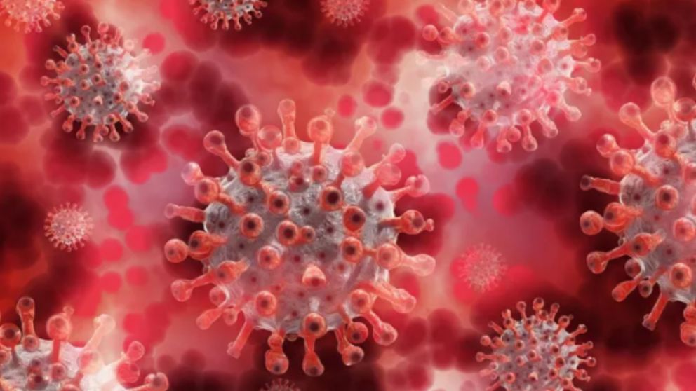 La variante Ómicron podría pasar a ser el virus predominante del Covid.