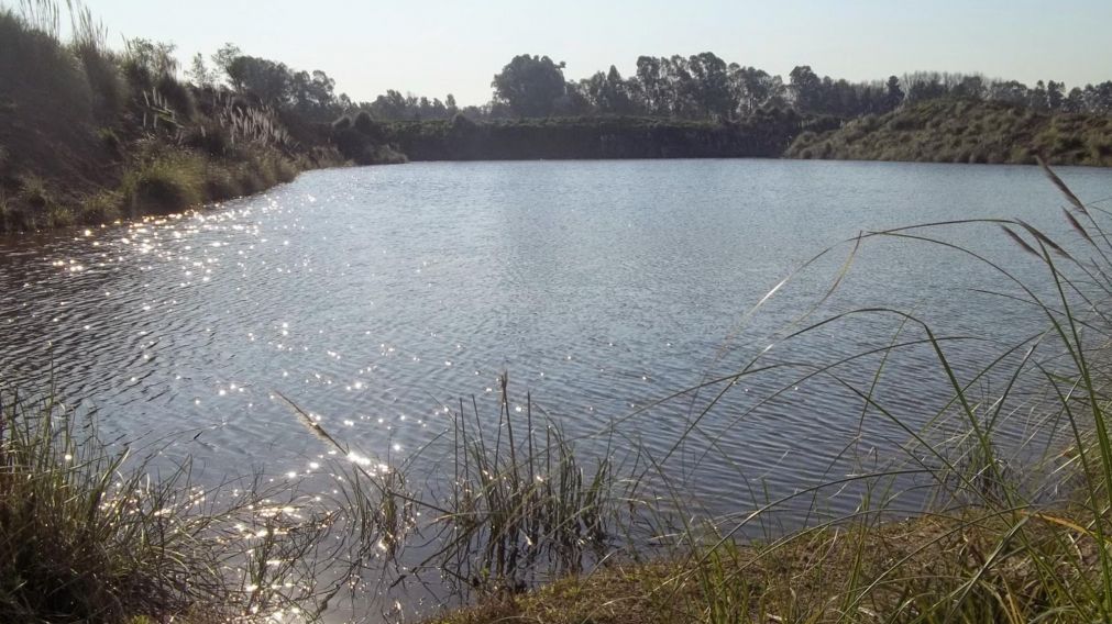 El cuerpo sin vida del individuo fue encontrado en las proximidades de una tosquera.