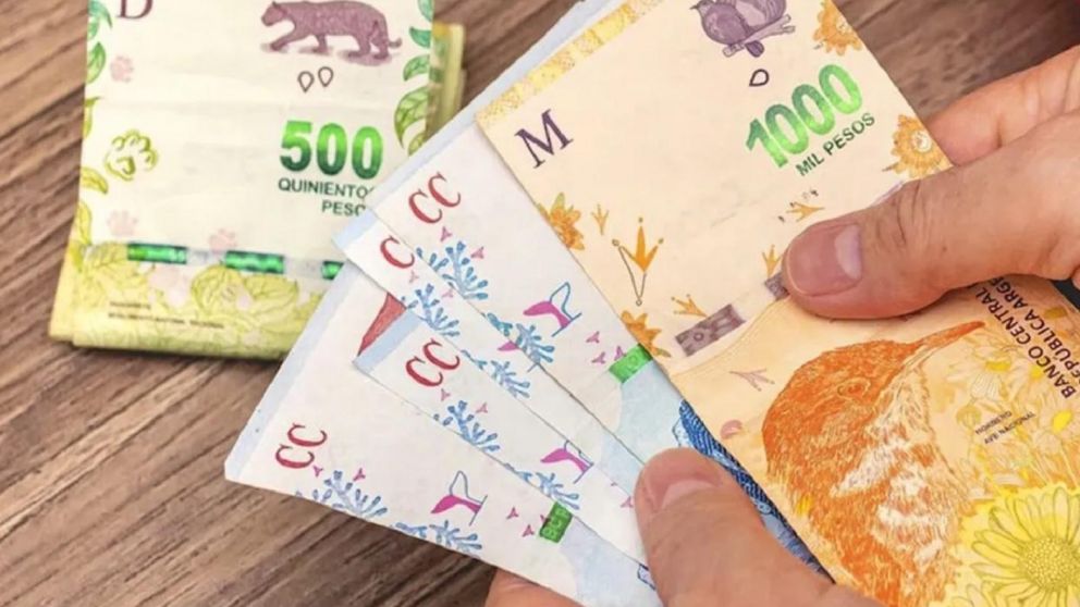 ANSES: cómo es el pago del bono de $45.000 en noviembre (Imagen ilustrativa).