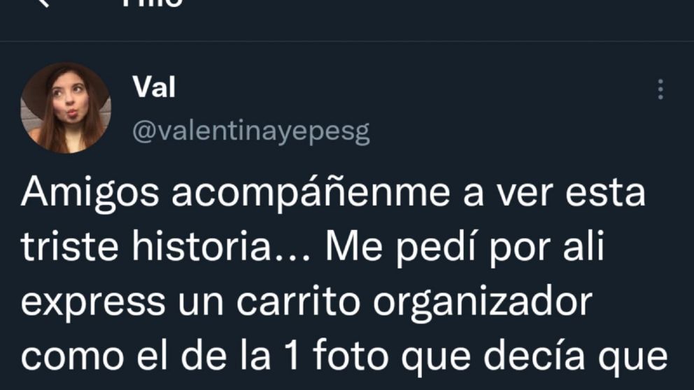 Compr� un organizador por Internet y se volvi� viral tras recibir algo indignante como pedido. 