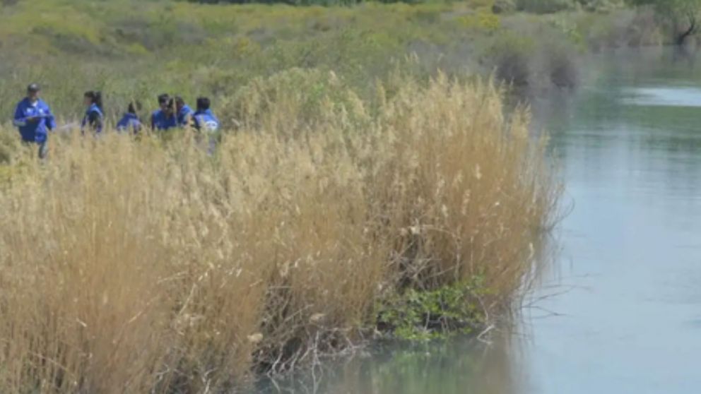 Los peritos buscan determinar que causó la muerte del joven.