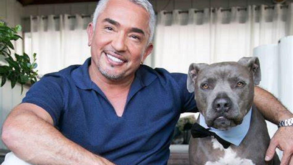 César Millán se encuentra con un nuevo proyecto televisivo.