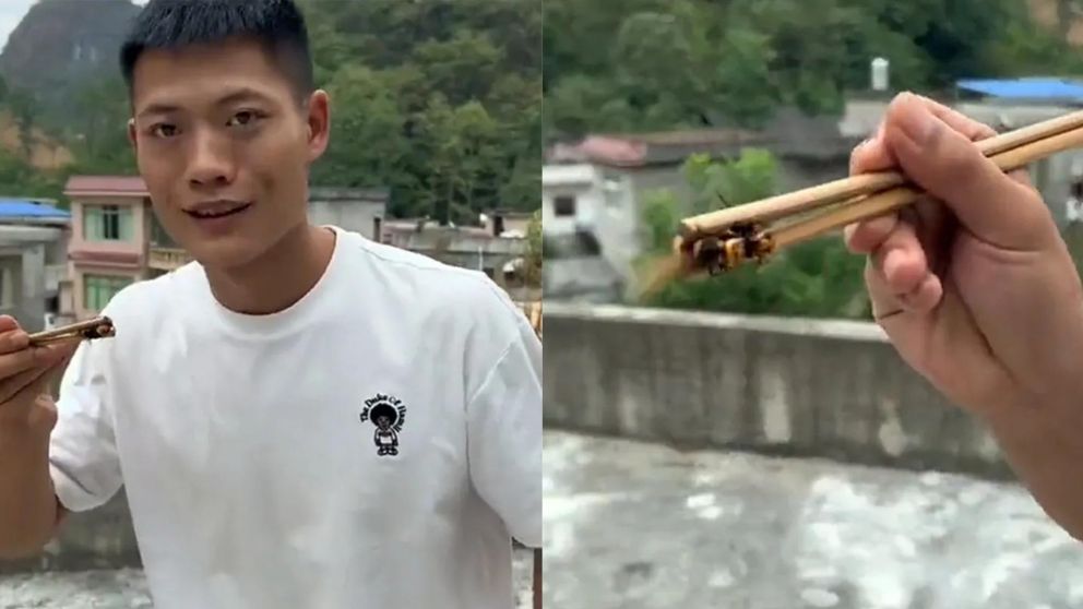 Desfigurado: así terminó un influencer tras comerse una avispa viva.