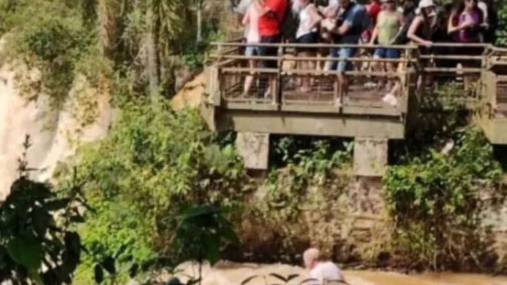 Otro turista que estaba en el lugar fotografi� la dram�tica escena (Gentileza El Territorio).  