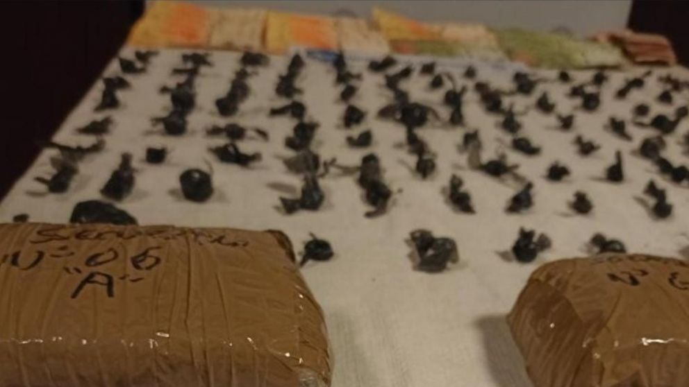 Parte de los objetos que fueron secuestrados por los investigadores policiales.