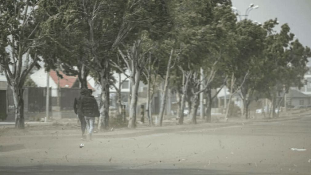 Alerta meteorológica amarilla por fuertes vientos en el sur del país.