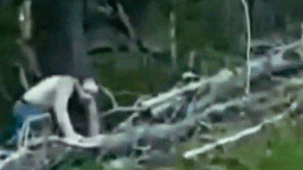 Mientras manejaba por la ruta grab� el ataque de un aterrador zombie �Mir� el video!