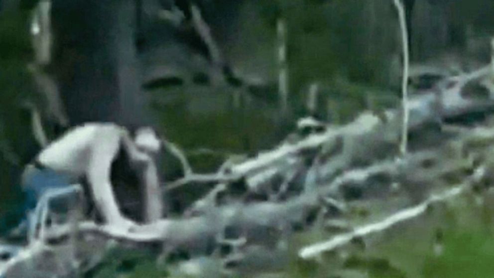 Mientras manejaba por la ruta grabó el ataque de un aterrador zombie ¡Mirá el video!