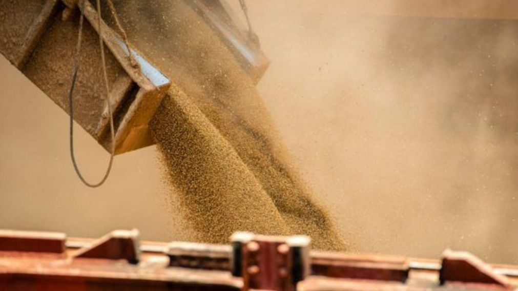 Estiman que la empresa exportadora evitó declarar ingresos de USD 1.264.935,57 en el país, o $189.740.250.