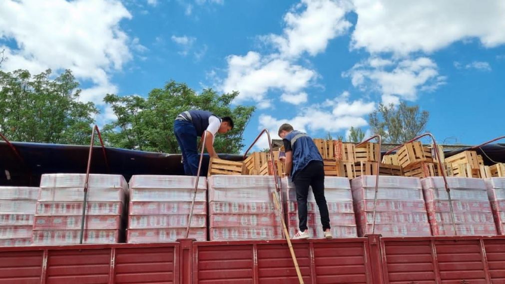 La Aduana secuestró más de 70 mil latas de cerveza que se pretendía cruzar a Bolivia.