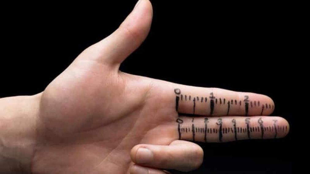 �El tama�o es un mito o una realidad? (Imagen ilustrativa).