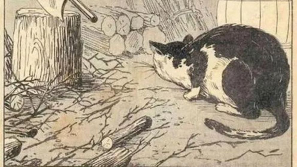 Parece un desaf�o sencillo, pero no es lo que parece