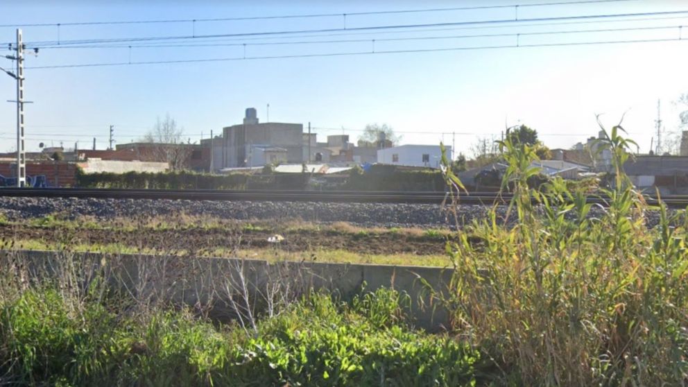 La criatura fue arrollada en este lugar por la formación ferroviaria.