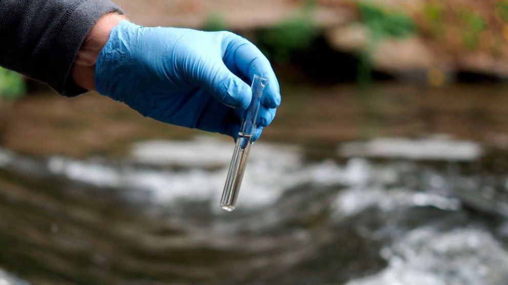 Los científicos creen que el calentamiento global y el consecuente aumento de temperaturas está favoreciendo la propagación de estos organismos en el agua dulce.