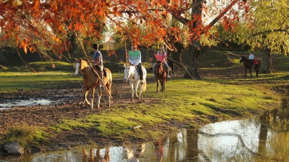 4 granjas para pasar un fin de semana �nico y sin gastar un dineral.��