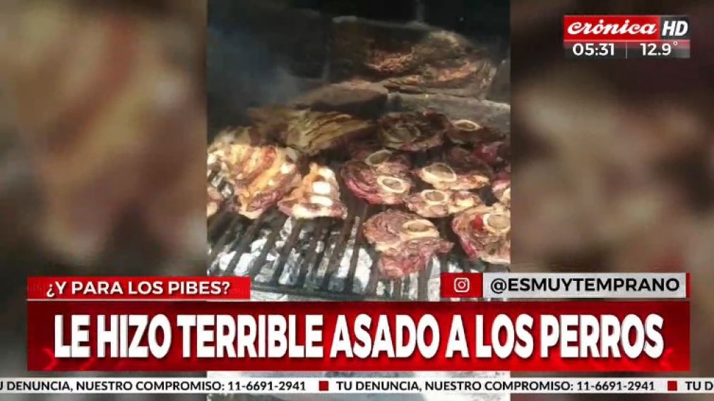 ¡Le hizo terrible asado a los perros!