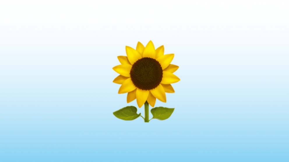 El emoji del girasol es cada vez mas popular entre los usuarios de WhatsApp.