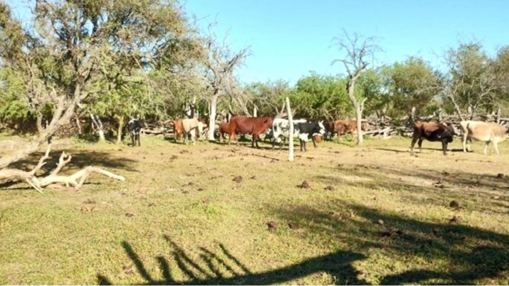 Ocurrió en el paraje Rubia Pas, en la provincia de Santiago del Estero.