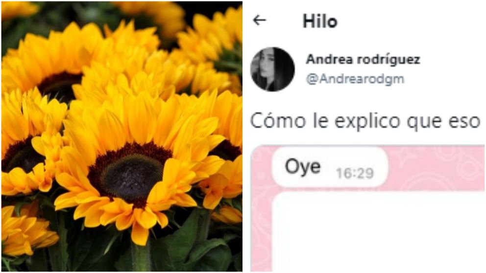 Se quiso sumar a la tendencia de las "flores amarillas", pero no tenía un "mango": su solución enamoró a todo Twitter y se hizo viral